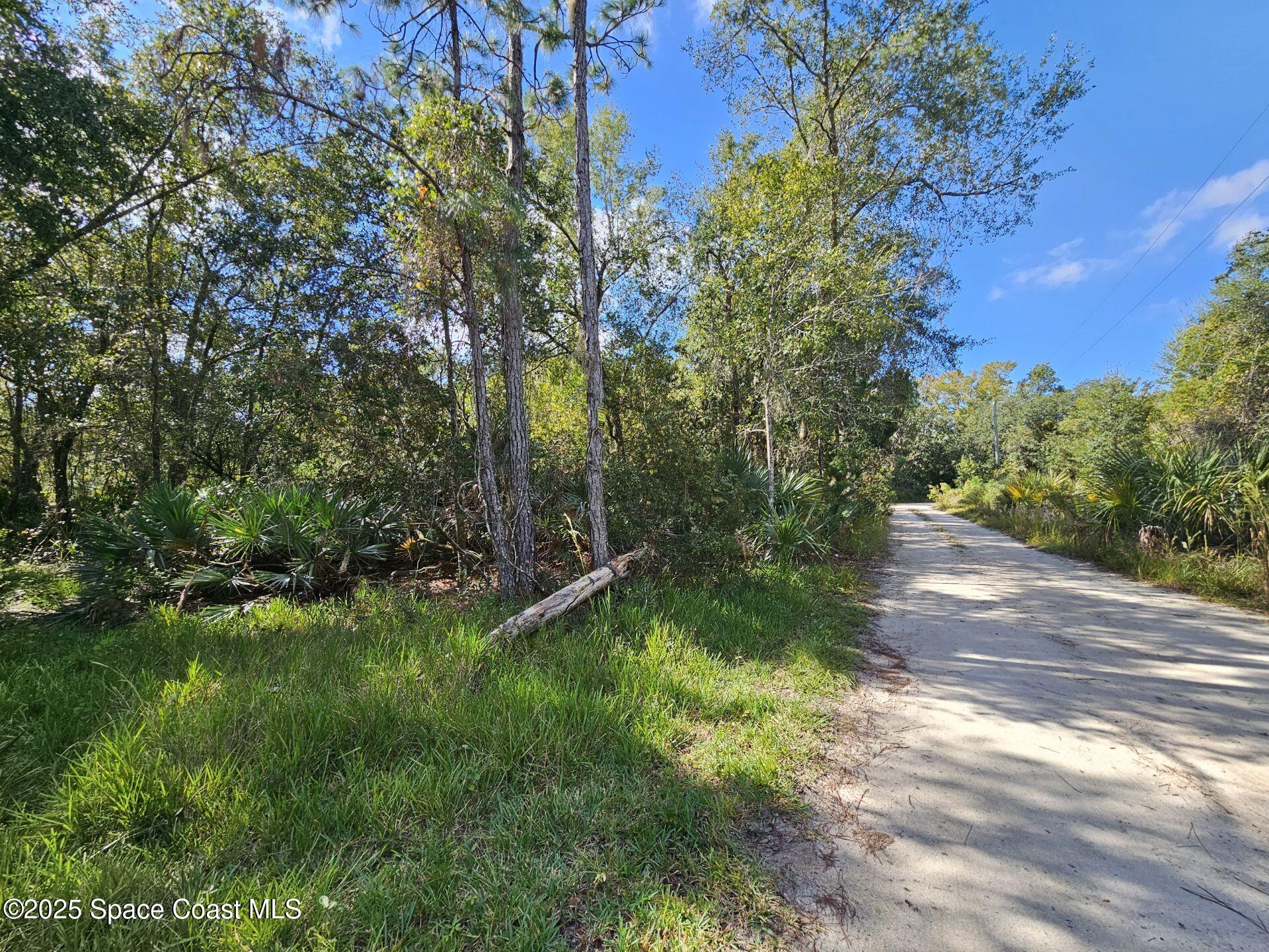 4600 Beacon Light Road Edgewater, FL 32141 - Photo 6 of 11 a backyard of a house with lots of green space