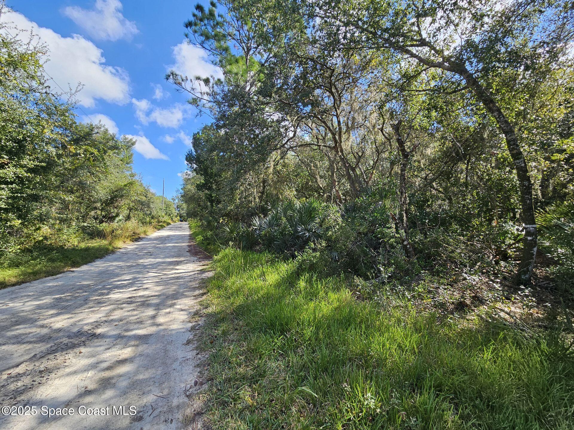 4600 Beacon Light Road Edgewater, FL 32141 - Photo 7 of 11 a view of a yard with plants and trees