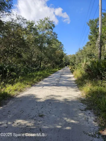 a view of dirt yard with large trees