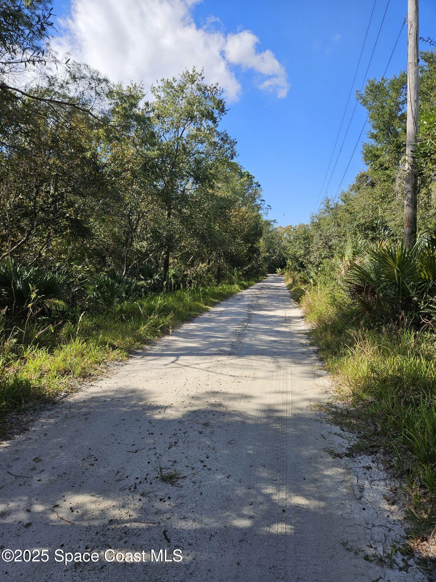 4600 Beacon Light Road Edgewater, FL 32141 - Photo 8 of 11 a view of dirt yard with large trees