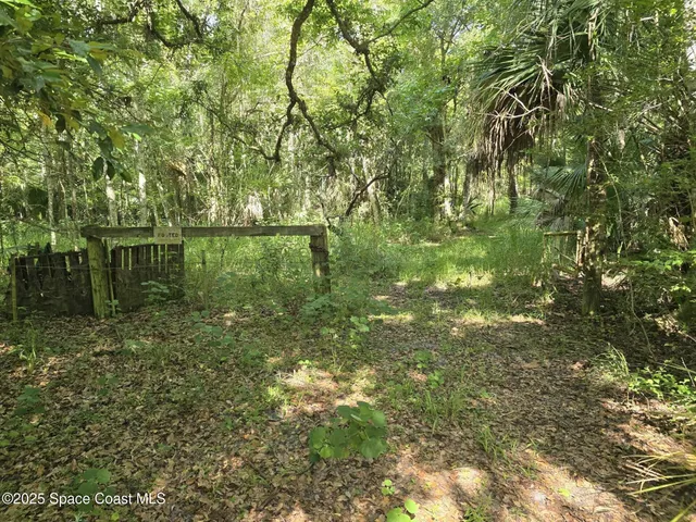 a view of a yard with trees