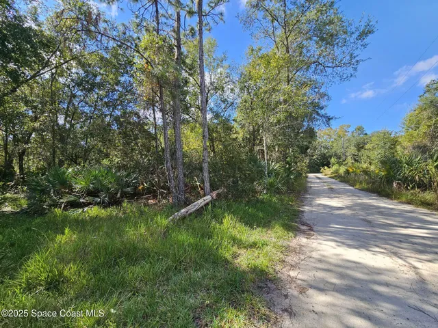 a view of a yard with plants and trees