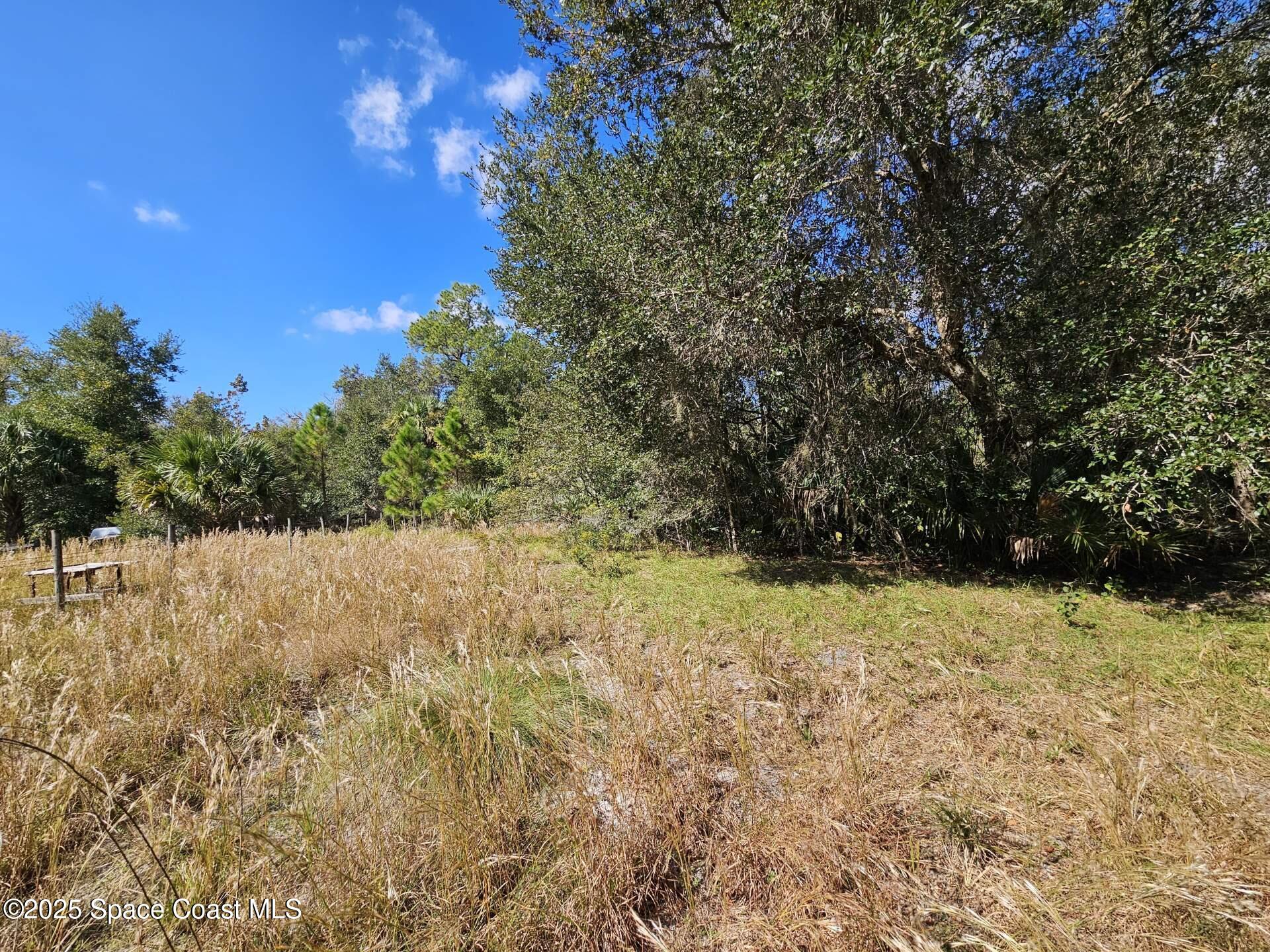 4600 Beacon Light Road Edgewater, FL 32141 - Photo 10 of 11 a view of a yard with trees