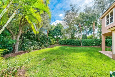 a view of a yard with plants and large trees