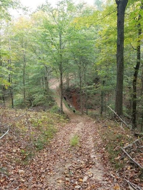 3597 Leesville Road Bedford, IN 47421 - Photo 15 of 16 Gallery Image 15