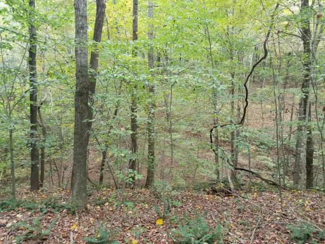 3597 Leesville Road Bedford, IN 47421 - Photo 16 of 16 Gallery Image 16