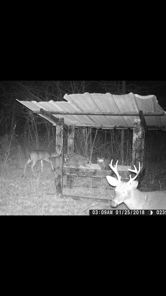 453 Pat Luckett Road Canton, MS 39046 - Photo 34 of 34 Photo 34