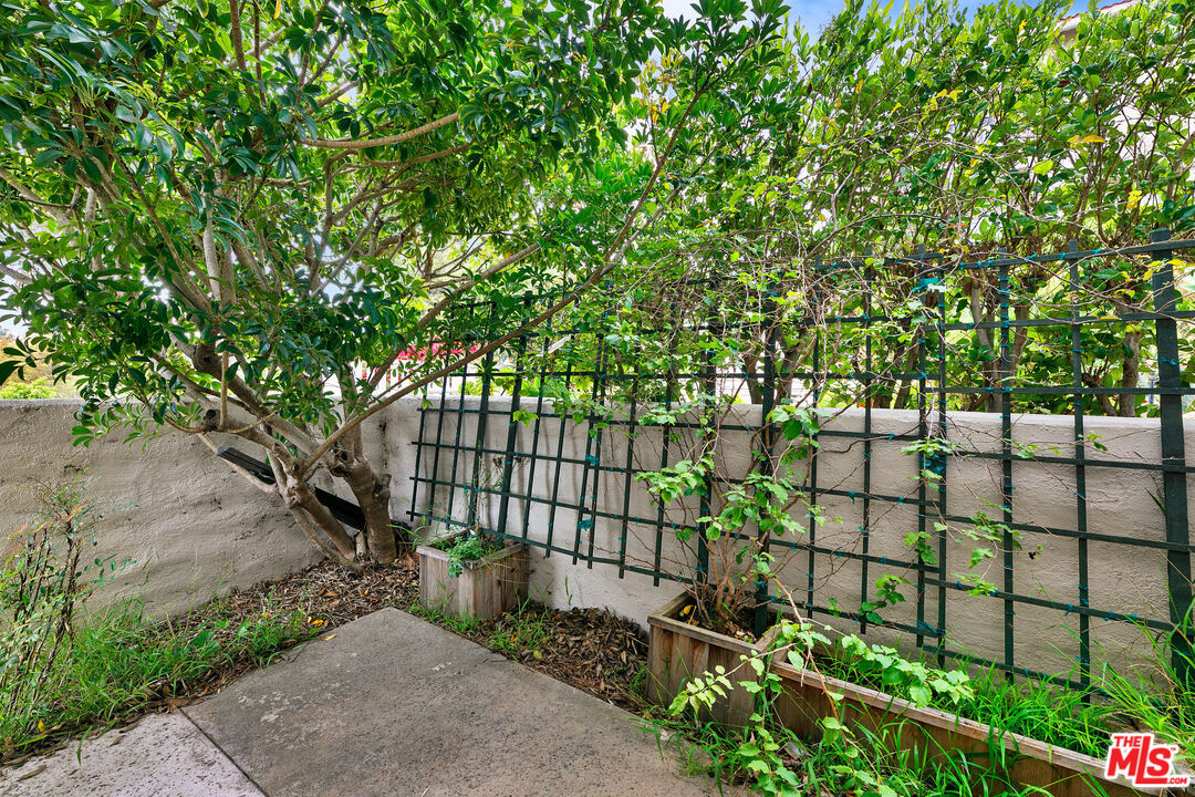 28398 Rey De Copas Lane Malibu, CA 90265 - Photo 38 of 44 a view of a backyard