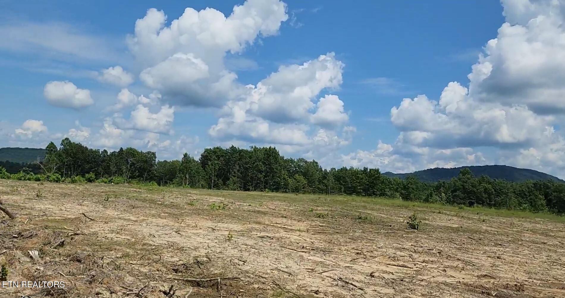 10 Pleas Mccartt Road Robbins, TN 37852 - Photo 1 of 1 GM Phase 2