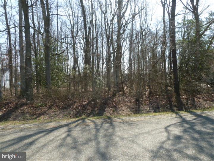0 Deer Valley Road Harrington, DE 19952 - Photo 1 of 4 View 1