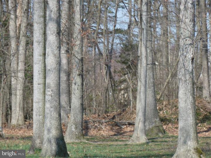 0 Deer Valley Road Harrington, DE 19952 - Photo 2 of 4 View 2