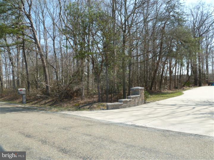 0 Deer Valley Road Harrington, DE 19952 - Photo 3 of 4 Gallery Image 3