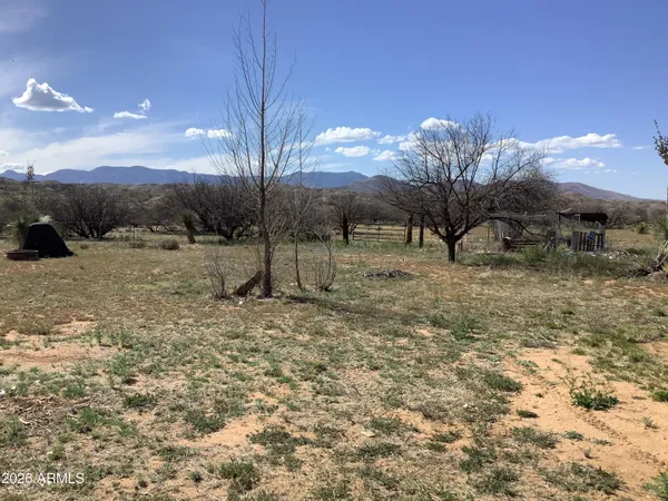 a view of a dry yard