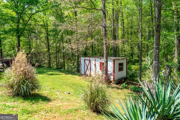 a view of a backyard