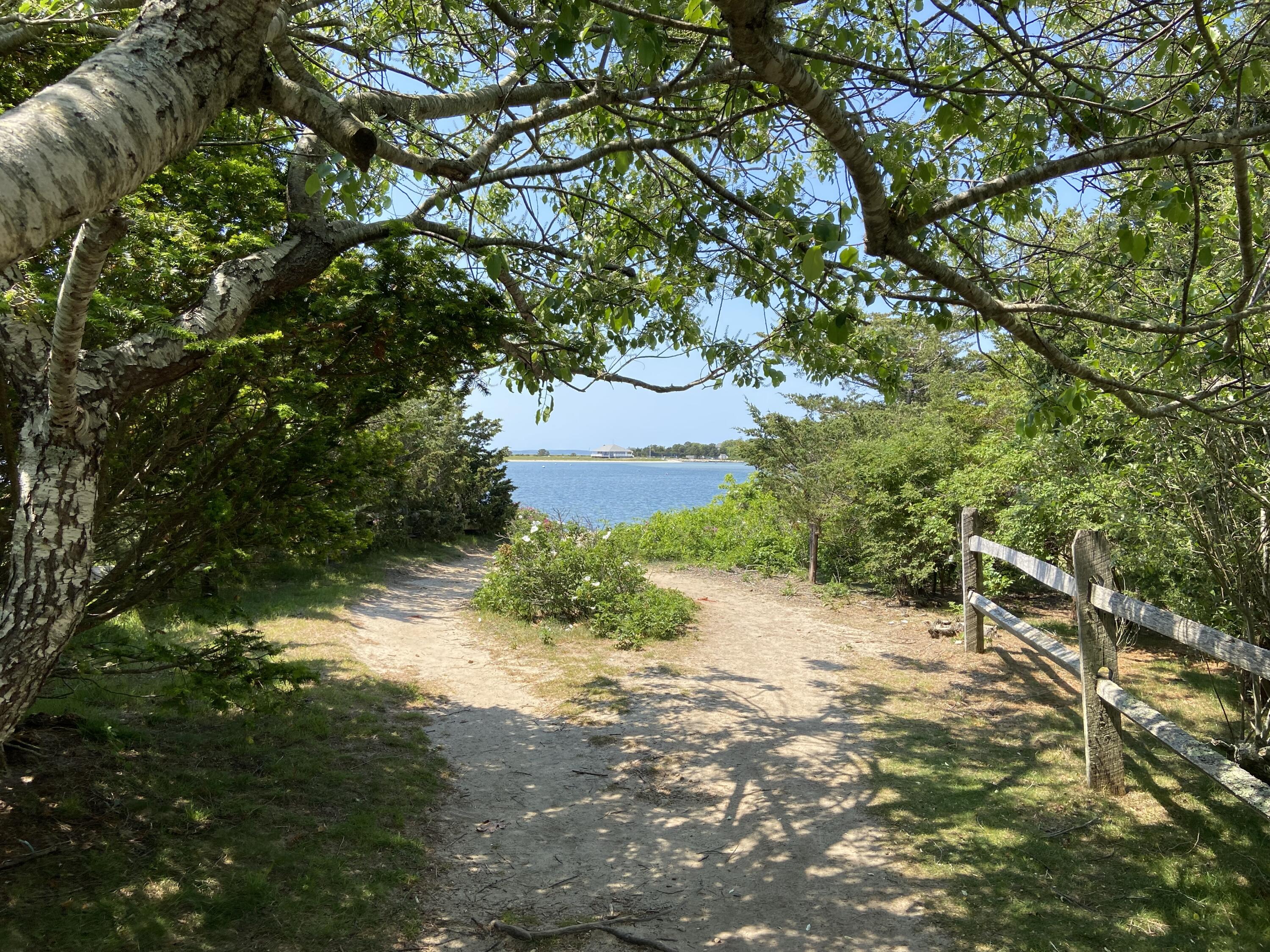 19 Pine Rock Road East Falmouth, MA 02536 - Photo 50 of 52 a pathway of a yard