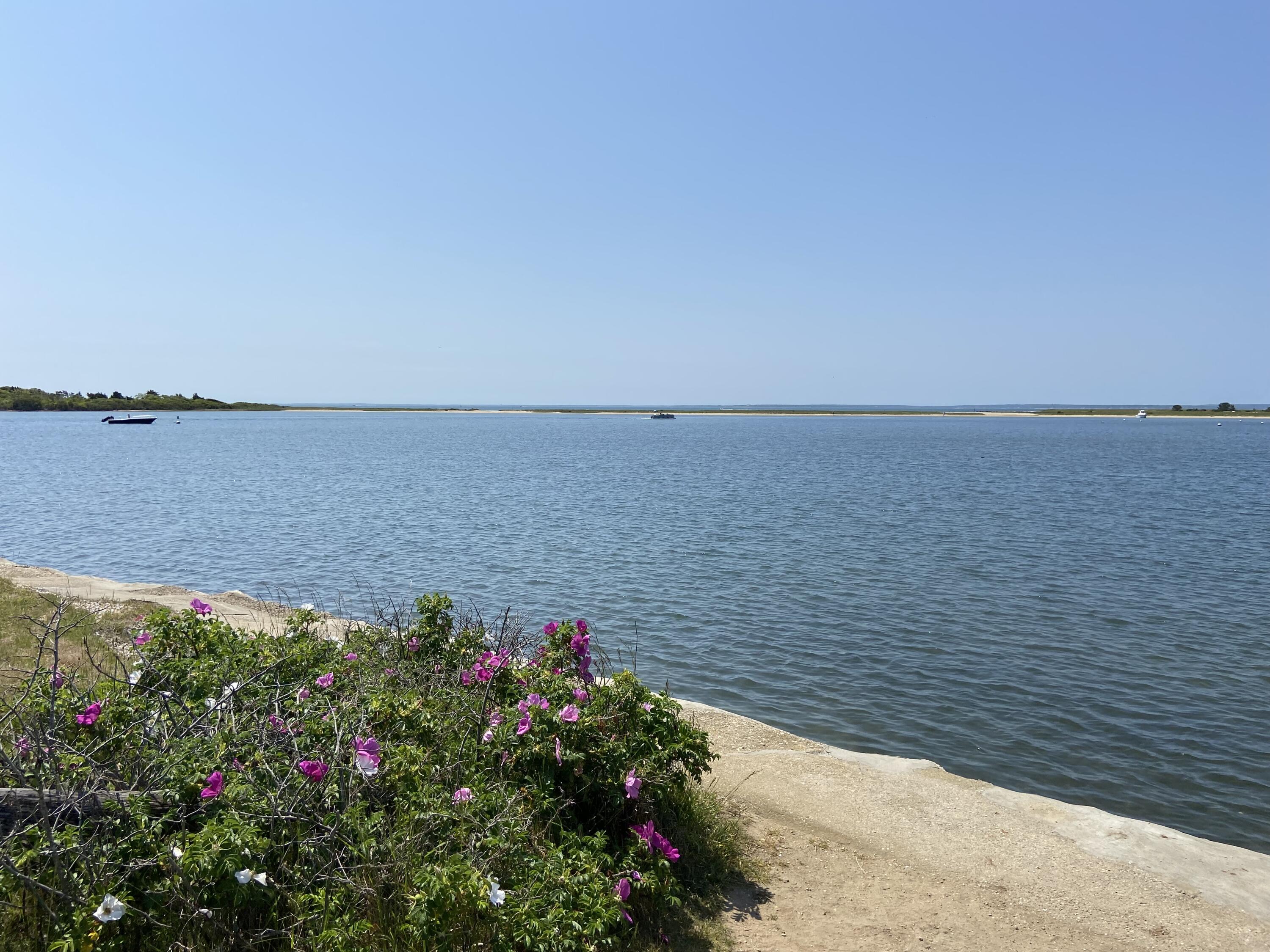 19 Pine Rock Road East Falmouth, MA 02536 - Photo 51 of 52 a view of a lake with a outdoor space