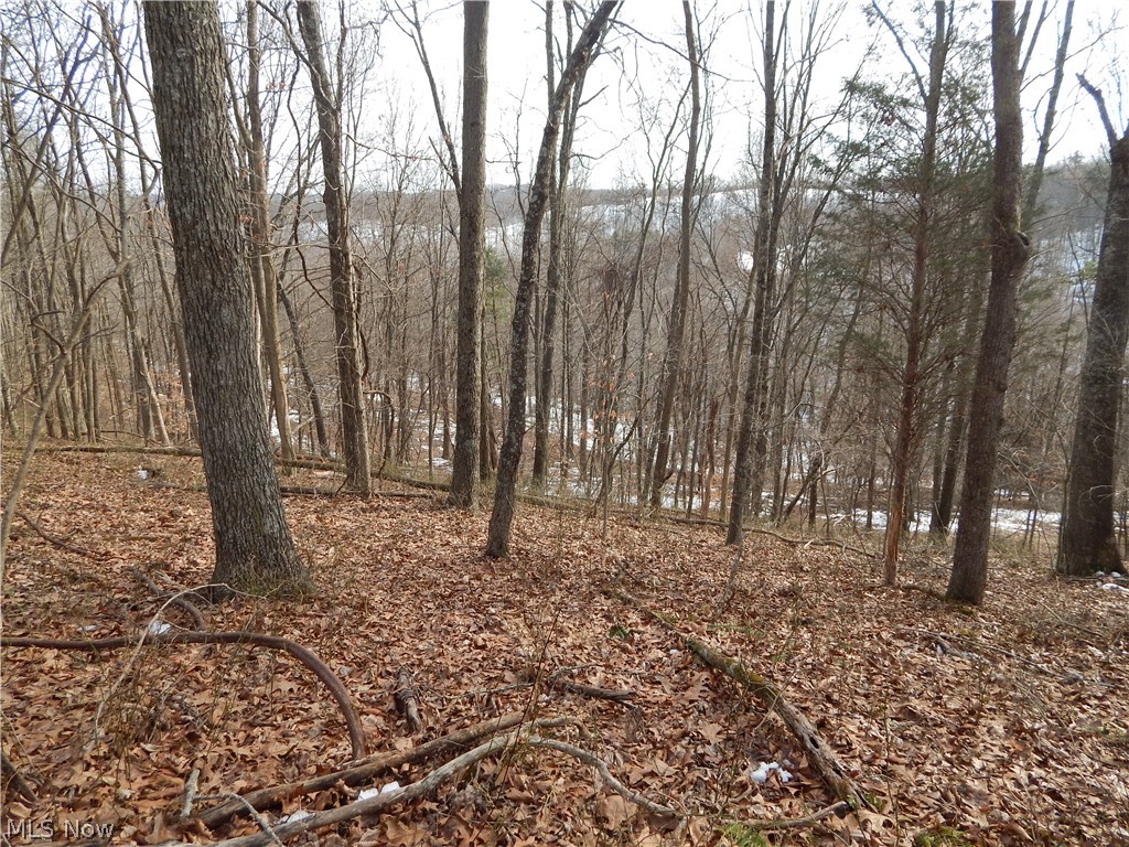 Fingerboard Road Big Springs, WV 26137 - Photo 12 of 21