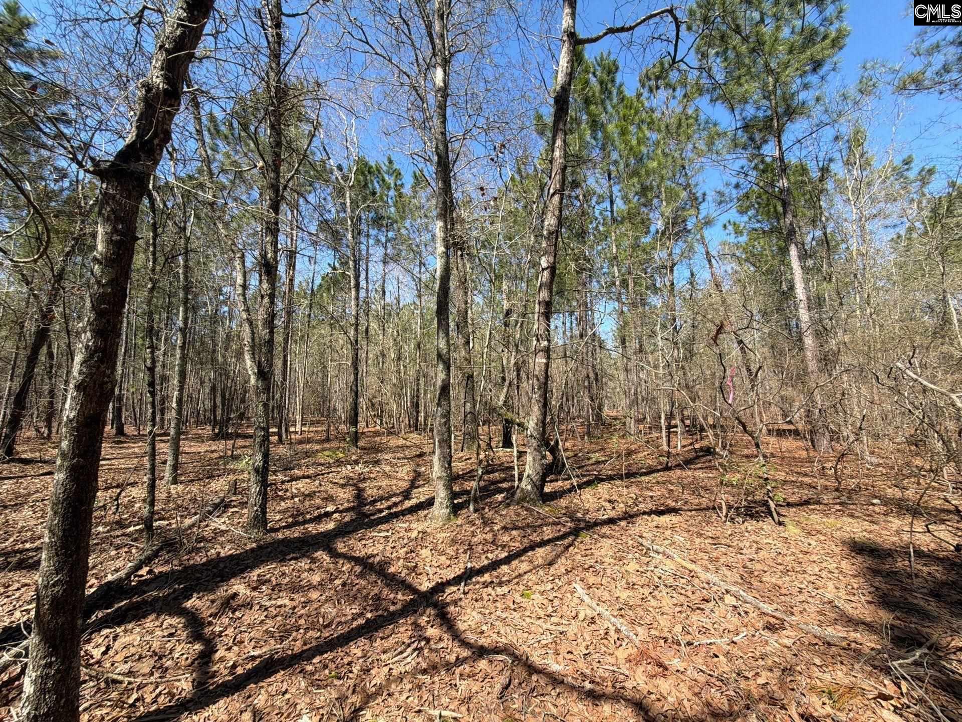 13 Boise Cascade Road, Unit BHL 13 Bethune, SC 29009 - Photo 3 of 31