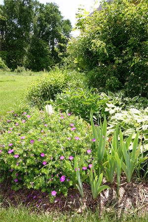 193 West Bare Hill Road Harvard, MA 01451 - Photo 26 of 30 Gallery Image 26