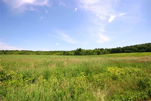 193 West Bare Hill Road Harvard, MA 01451 - Photo 28 of 30 Gallery Image 28