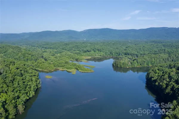 a view of a lake in middle of the forest