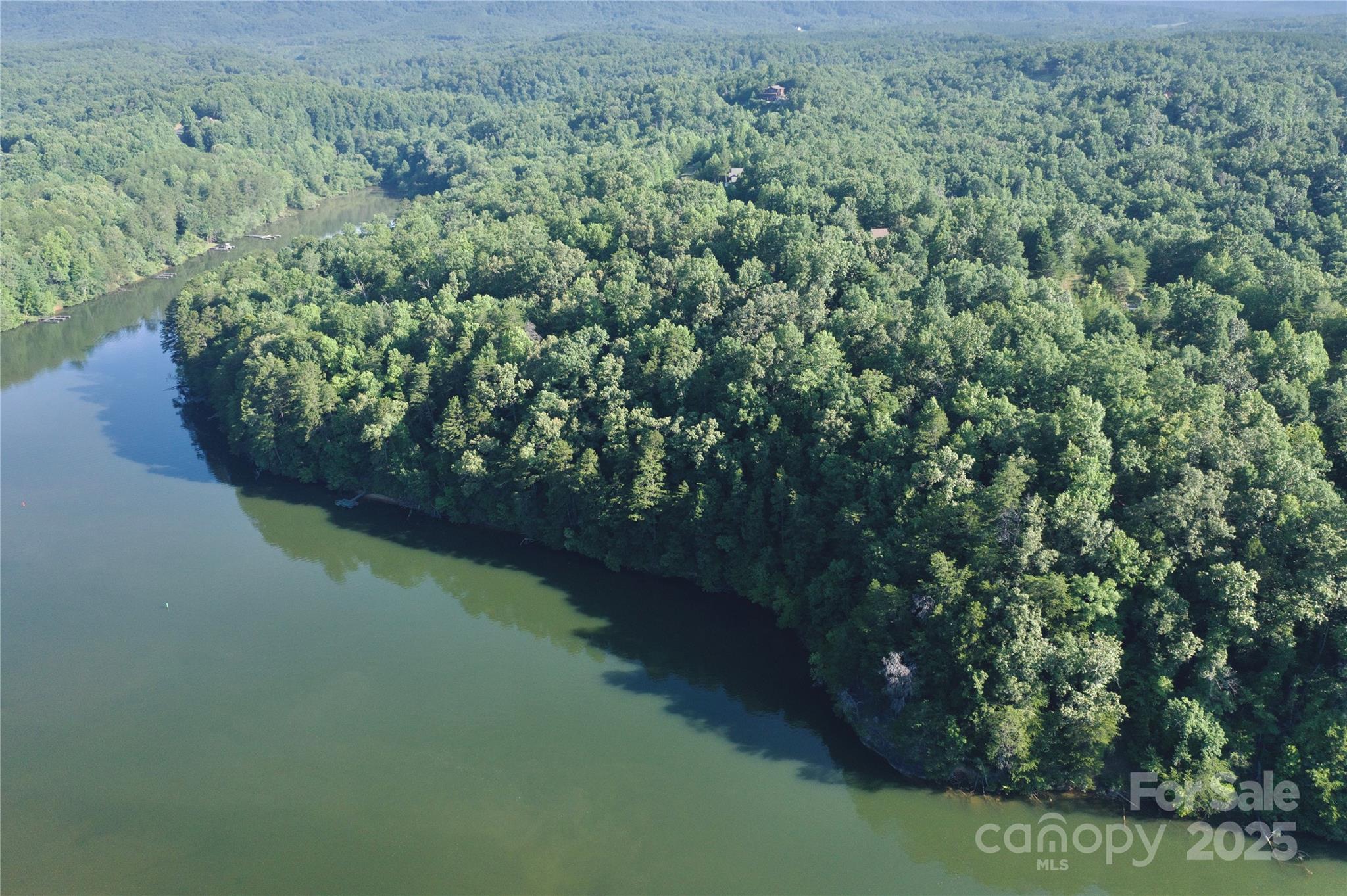 0 Parkway North None Mill Spring, Unit 13 Mill Spring, NC 28756 - Photo 8 of 8 a view of a lake from a yard