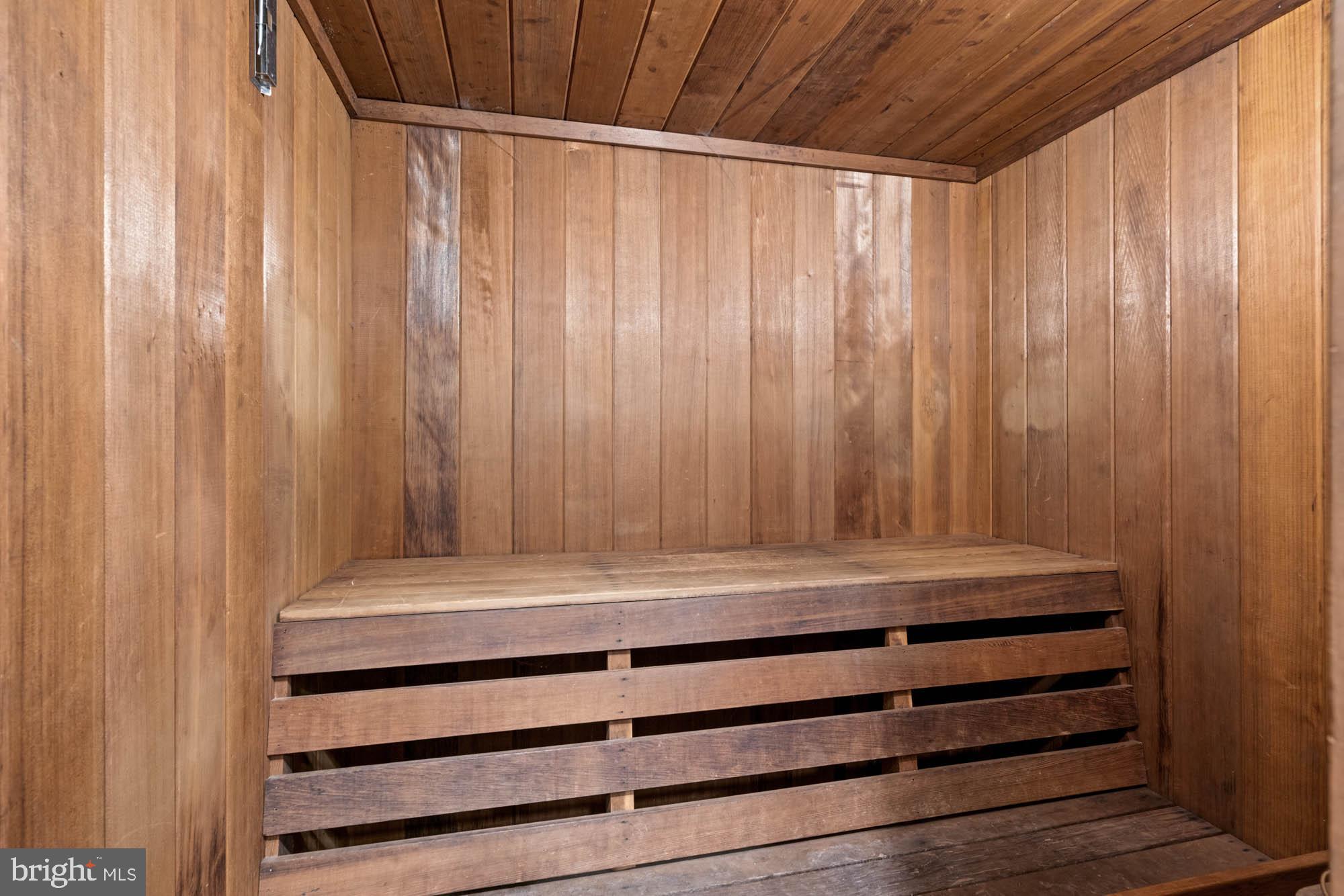 3507 R Street Northwest Washington, DC 20007 - Photo 56 of 71 Entry level sauna