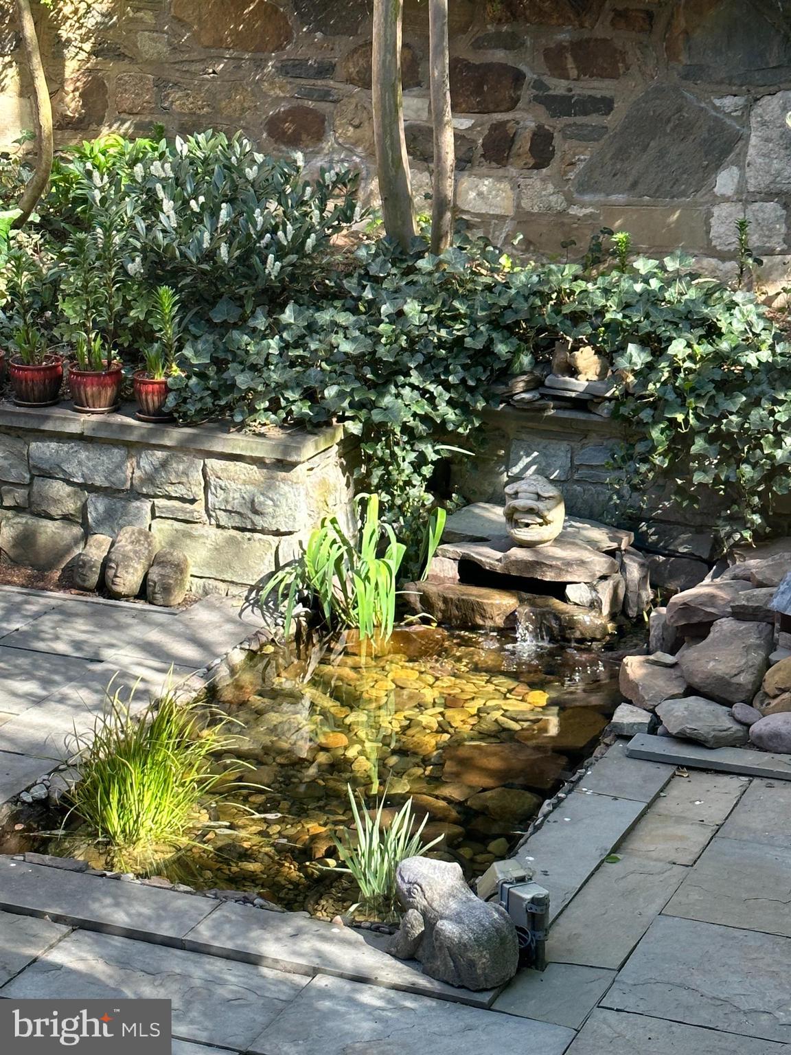 3507 R Street Northwest Washington, DC 20007 - Photo 67 of 71 Koi pond with waterfall