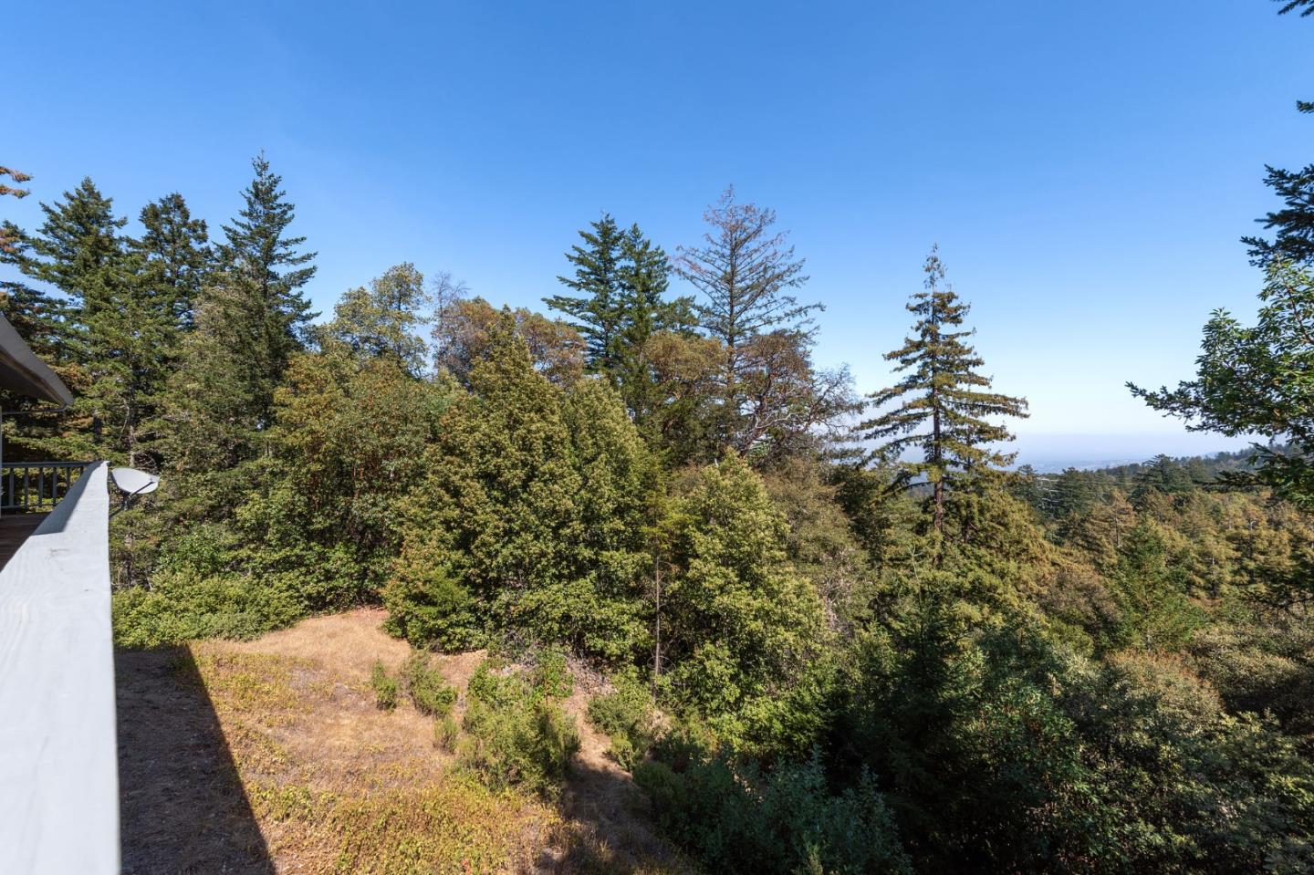 255 Allen Road Woodside, CA 94062 - Photo 33 of 43 a view of a yard