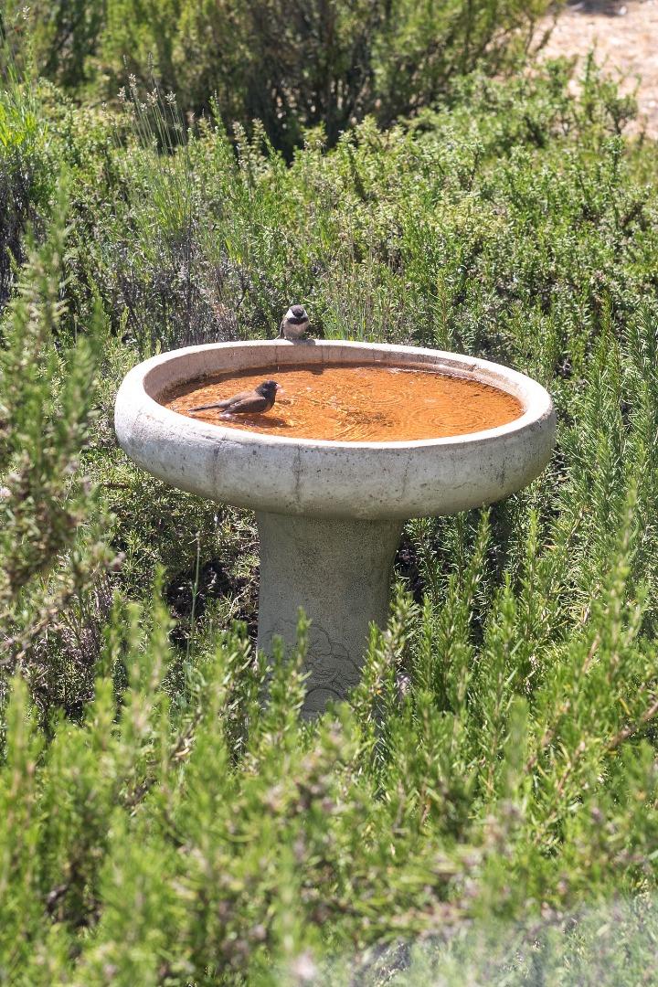 255 Allen Road Woodside, CA 94062 - Photo 34 of 43 a view of a swimming pool with a yard