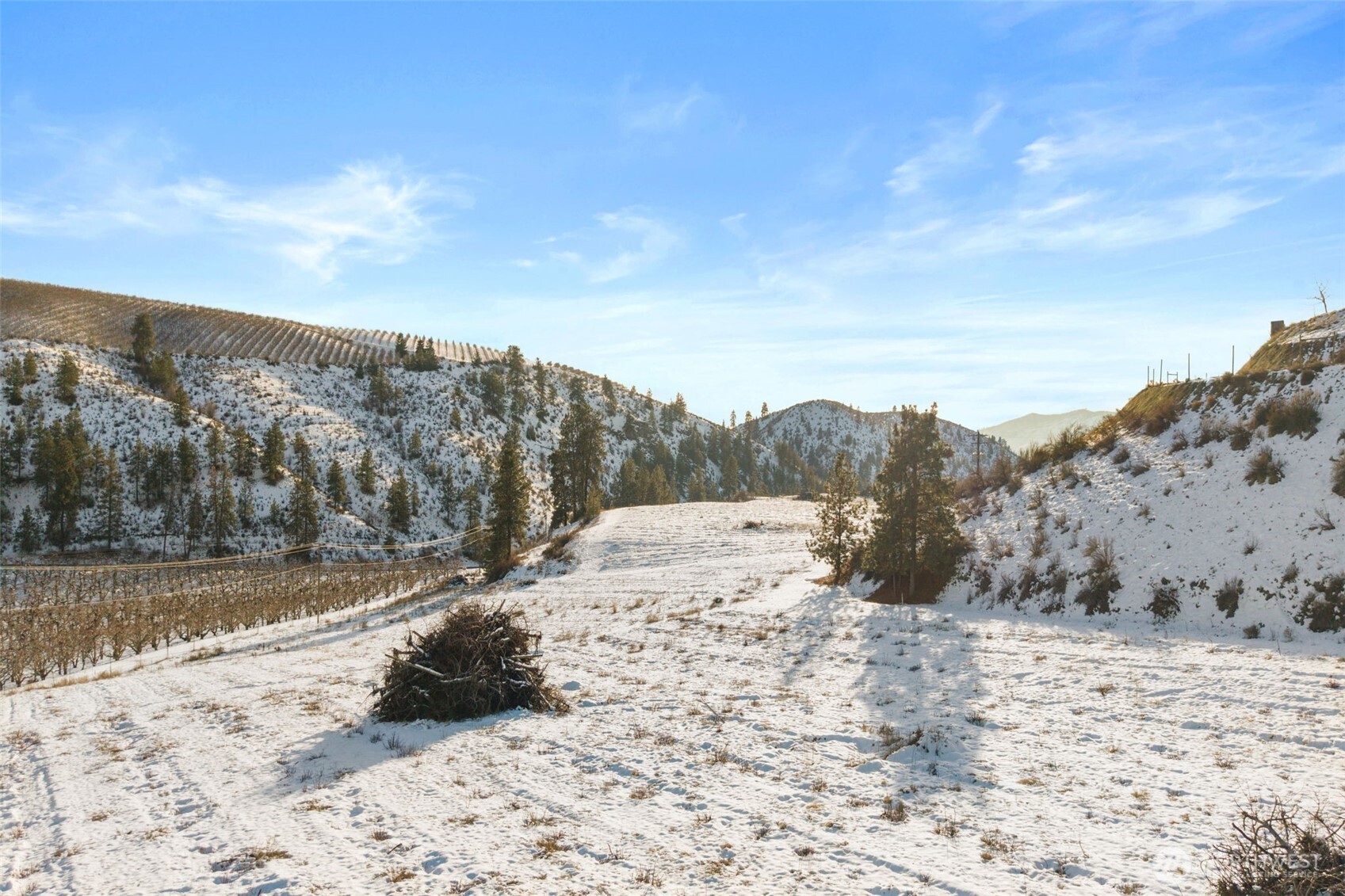 762 Boyd Loop Road Manson, WA 98831 - Photo 15 of 19 a view of a yard with a snow