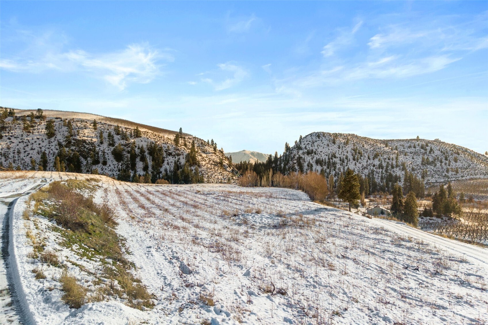 762 Boyd Loop Road Manson, WA 98831 - Photo 17 of 19 a view of a backyard of the house