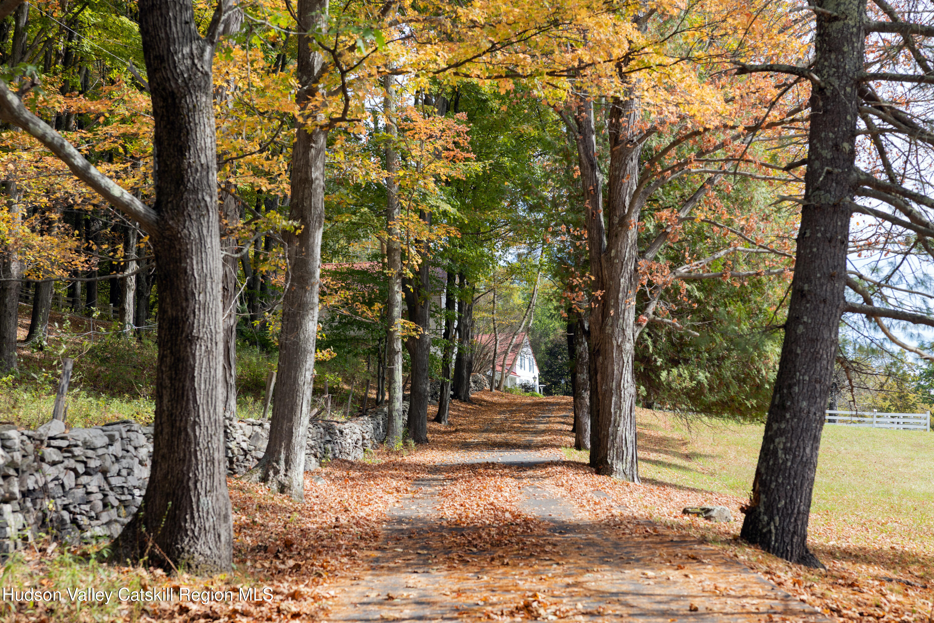 76 Smith Road Preston Hollow, NY 12469 - Photo 2 of 51 a view of a yard with plants and trees