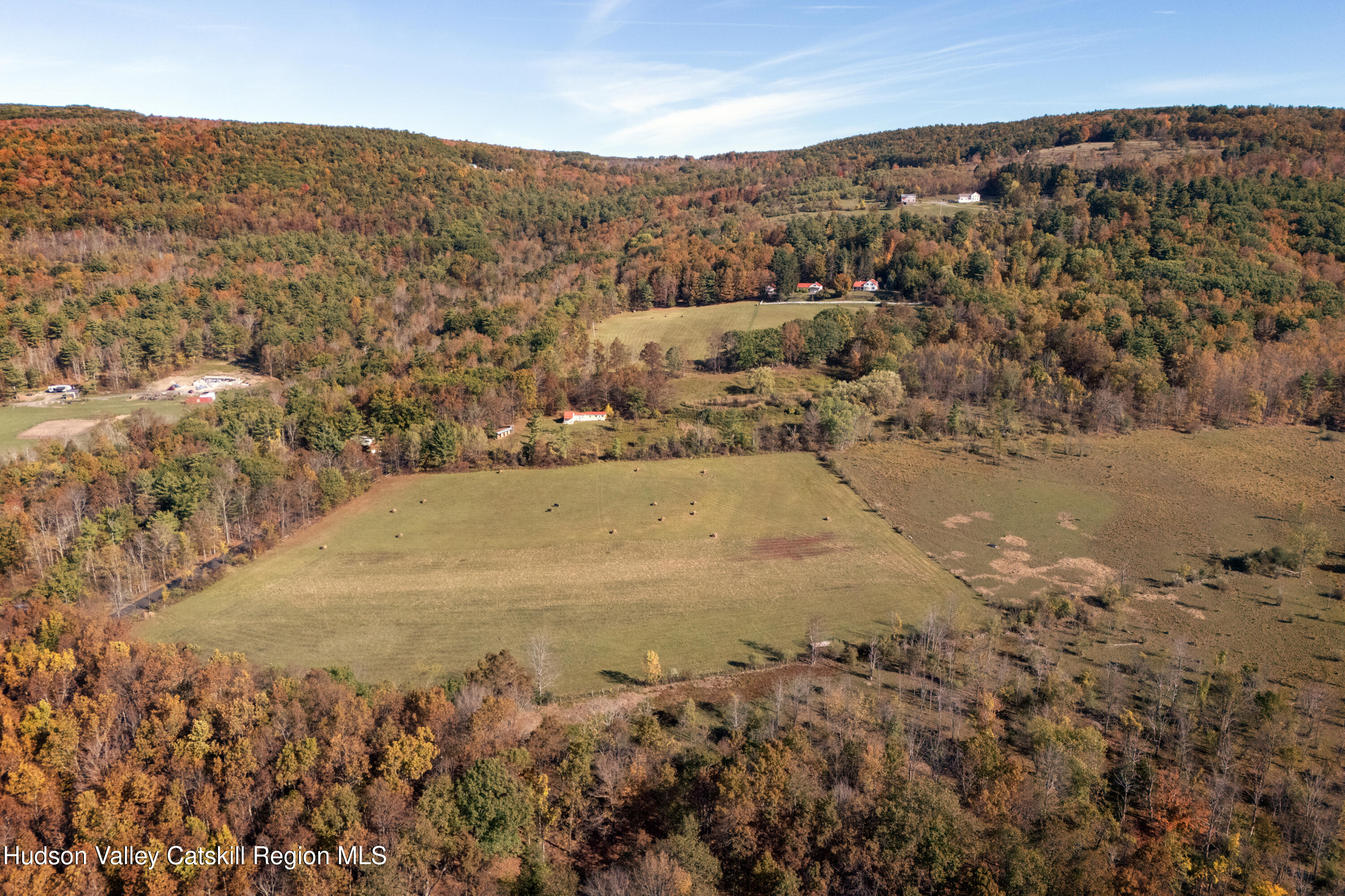 76 Smith Road Preston Hollow, NY 12469 - Photo 48 of 51 an aerial view of residential houses with outdoor space