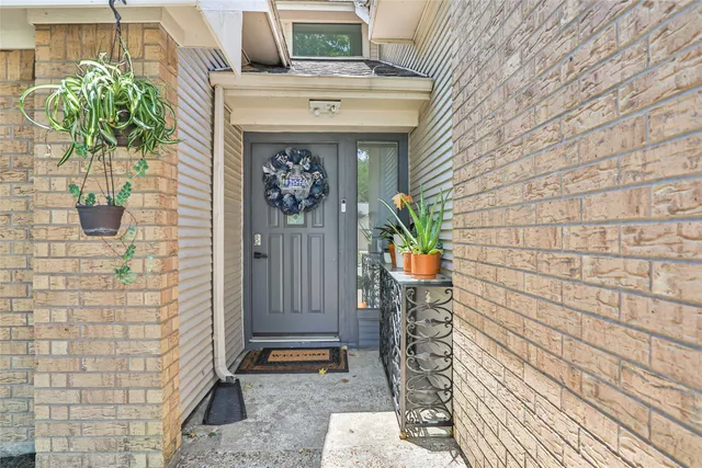a potted plant sitting in front of a door