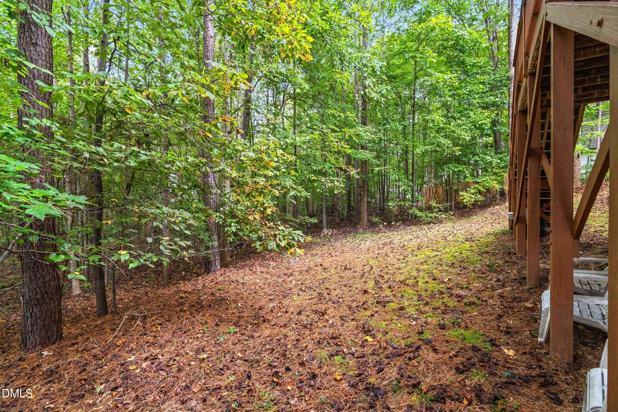 126 Geranium Way Clayton, NC 27527 - Photo 34 of 35 a view of a yard with plants and trees
