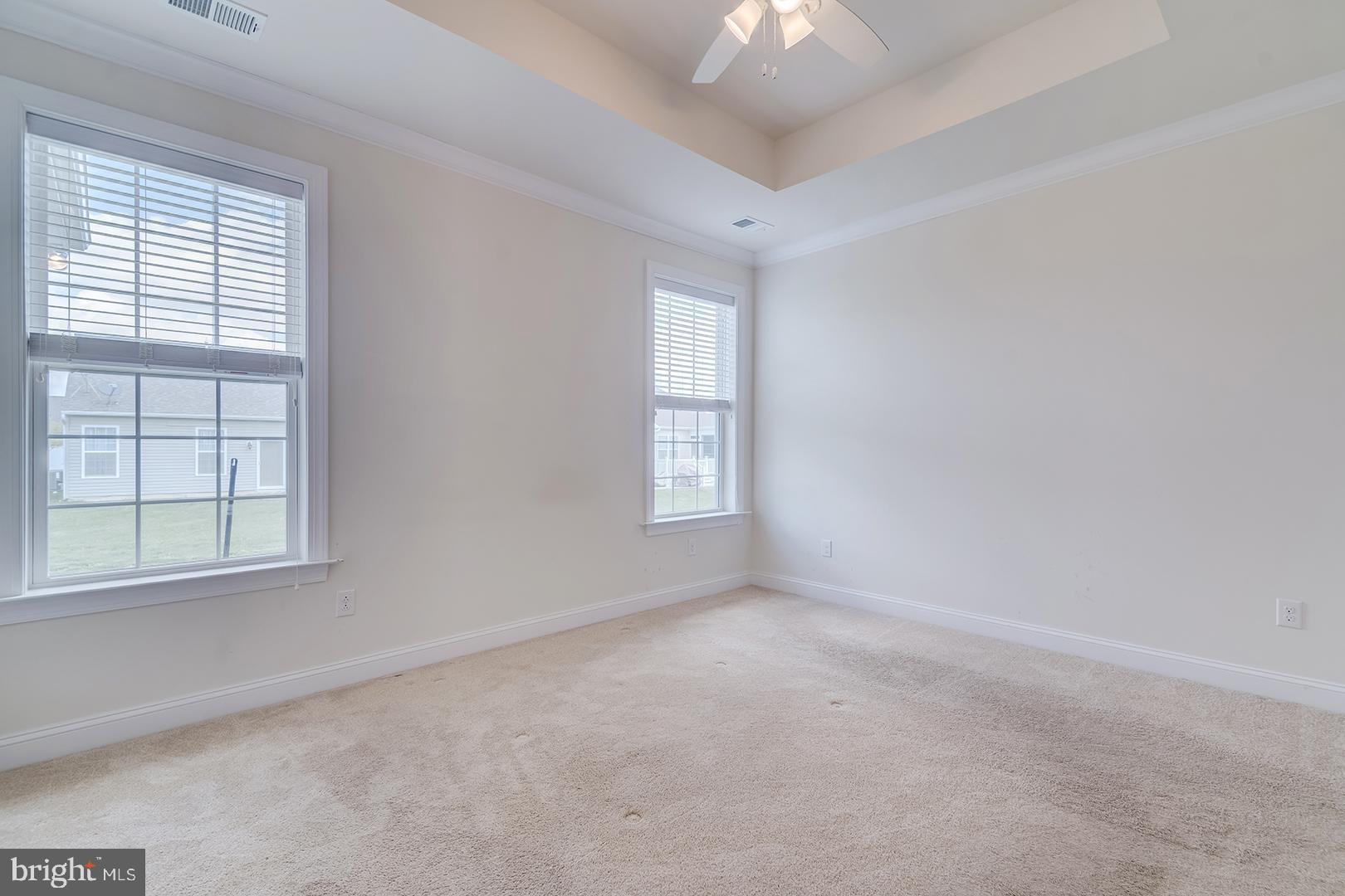90 Shadow Creek Road Magnolia, DE 19962 - Photo 4 of 50 Primary bedroom w/tray ceiling