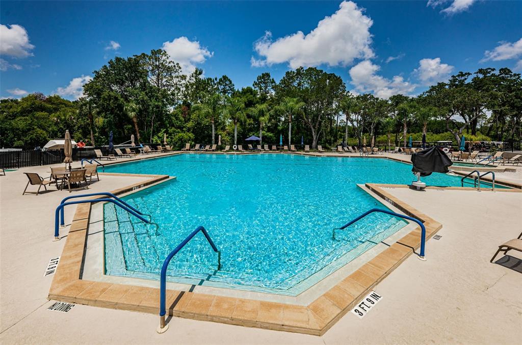 6525 Pine Walk Drive New Port Richey, FL 34655 - Photo 51 of 62 a view of a swimming pool with a patio and a yard