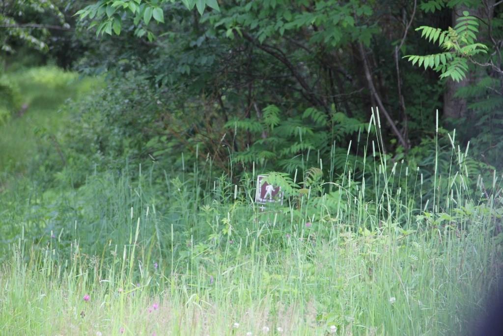 29 Pine Tree Road Litchfield, ME 04350 - Photo 6 of 10 Photo