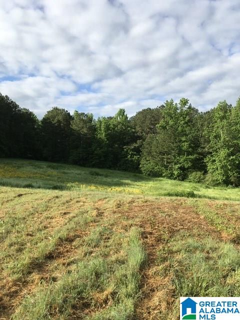 0 Highway 231, Unit 1 5 Oneonta, AL 35121 - Photo 2 of 23