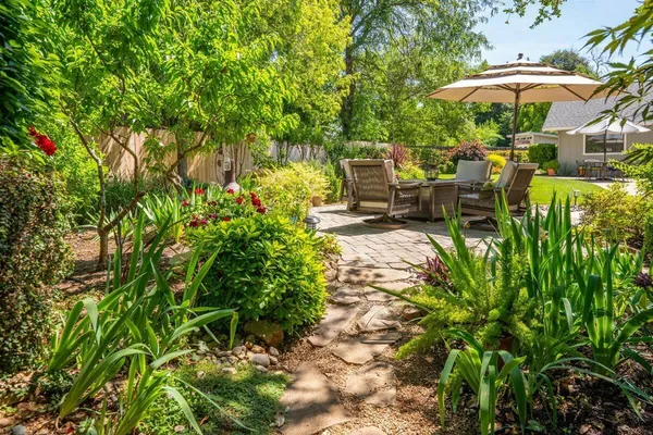 a view of backyard with a garden and plants
