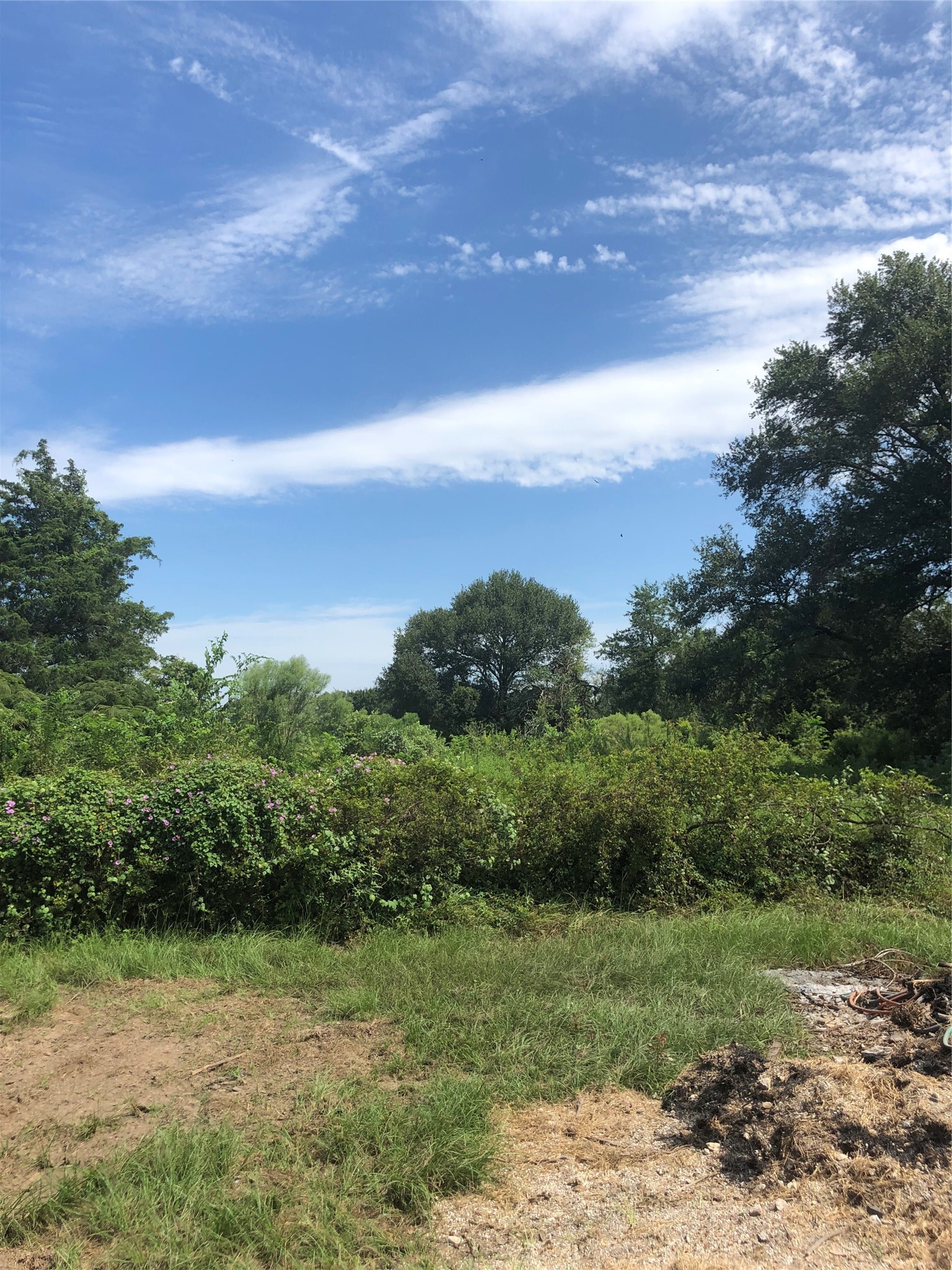 54012 Highway 290 East Hempstead, TX 77445 - Photo 16 of 21 a view of a field with an trees