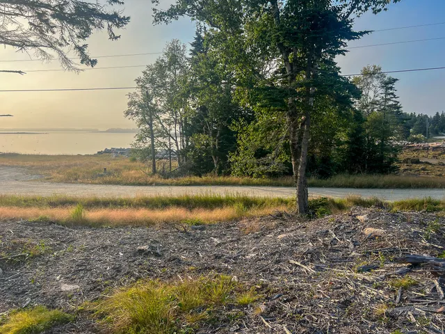 $175,000 | Lot 9-1 Black Duck Cove Road, Beals, ME 04611