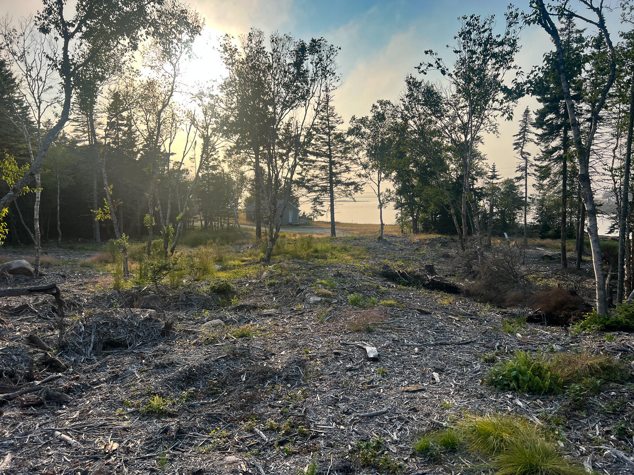 Lot 9-1 Black Duck Cove Road Beals, ME 04611 - Photo 12 of 16 12