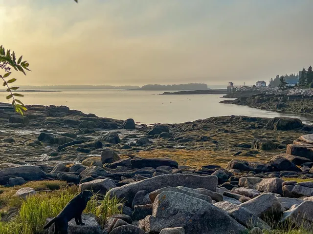 $175,000 | Lot 9-1 Black Duck Cove Road, Beals, ME 04611