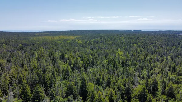 $167,000 | Lot 9-1 Black Duck Cove Road, Beals, ME 04611