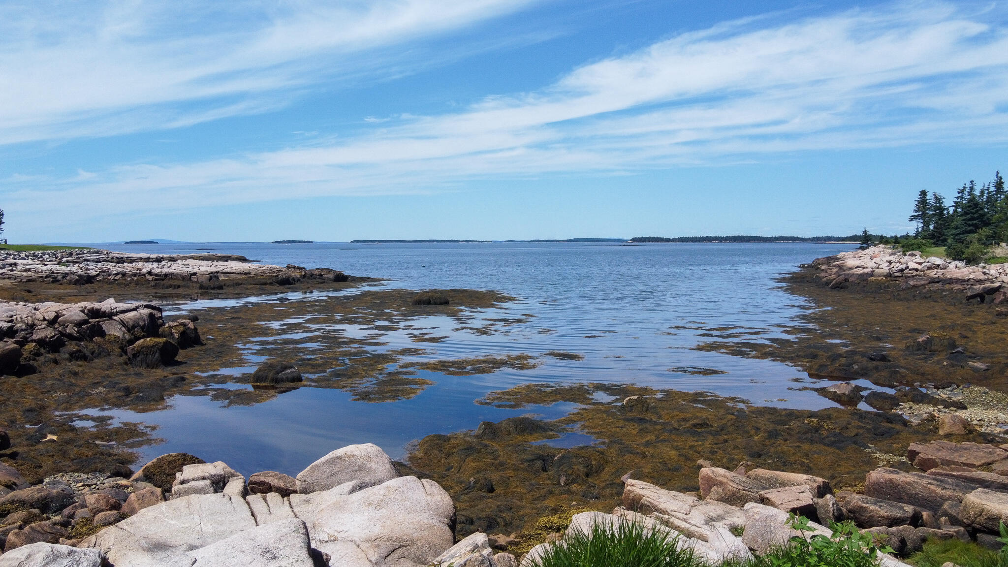 Lot 9-1 Black Duck Cove Road Beals, ME 04611 - Photo 8 of 16 8