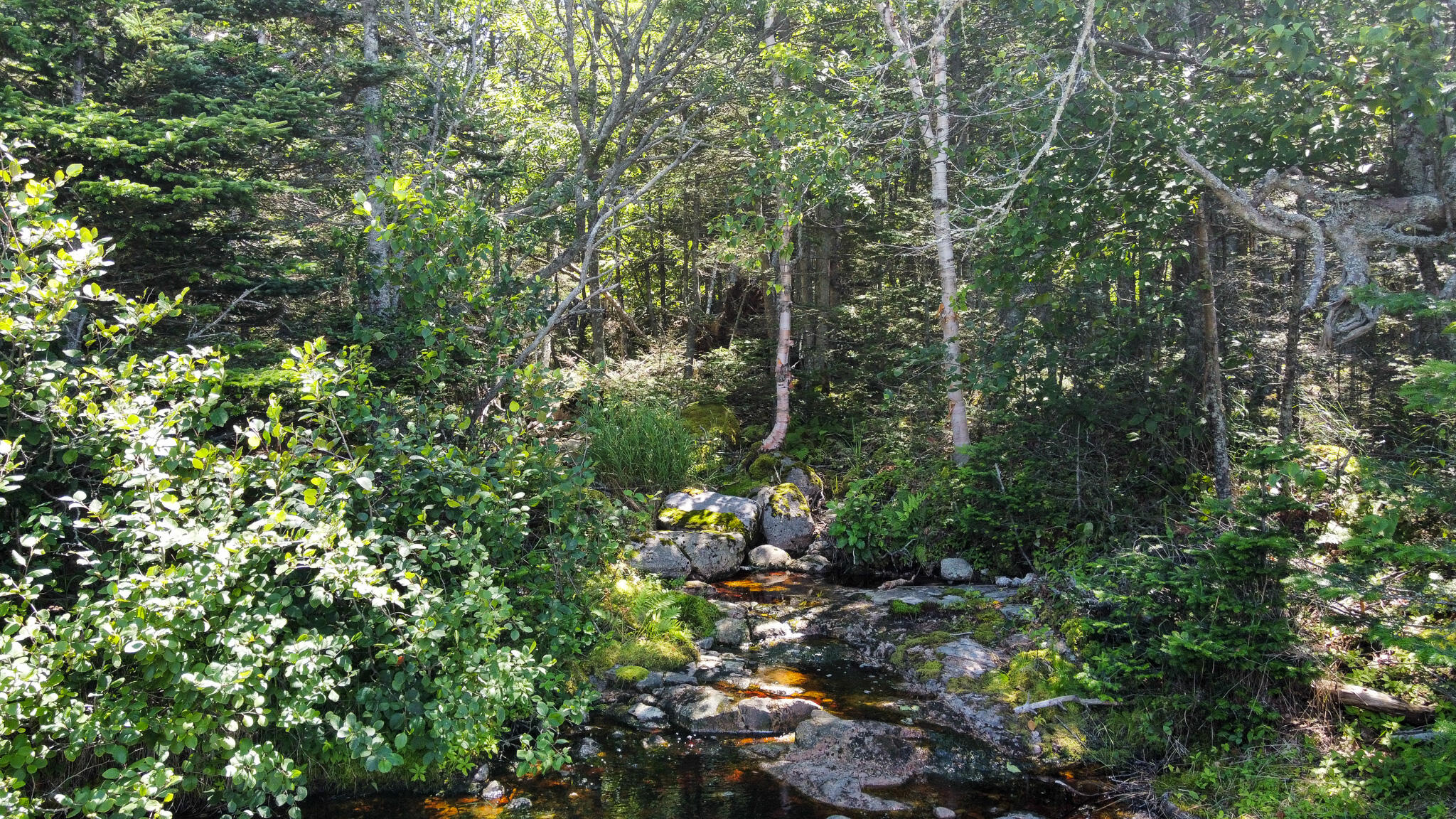 Lot 9-1 Black Duck Cove Road Beals, ME 04611 - Photo 10 of 16 10