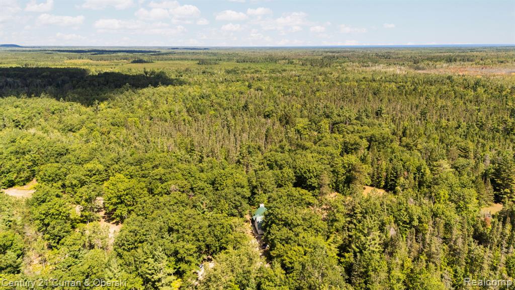 3265 Roost Road Onaway, MI 49765 - Photo 39 of 51