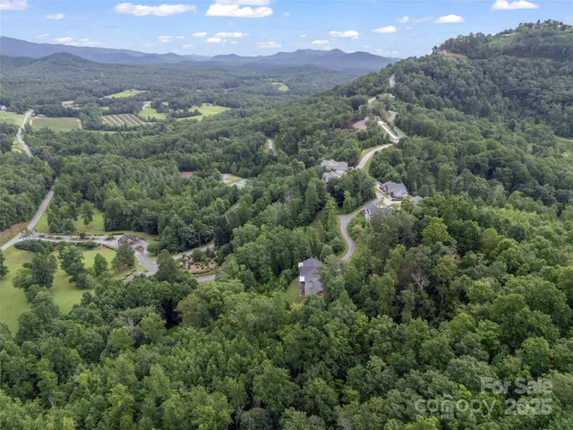 an aerial view of a town with trees
